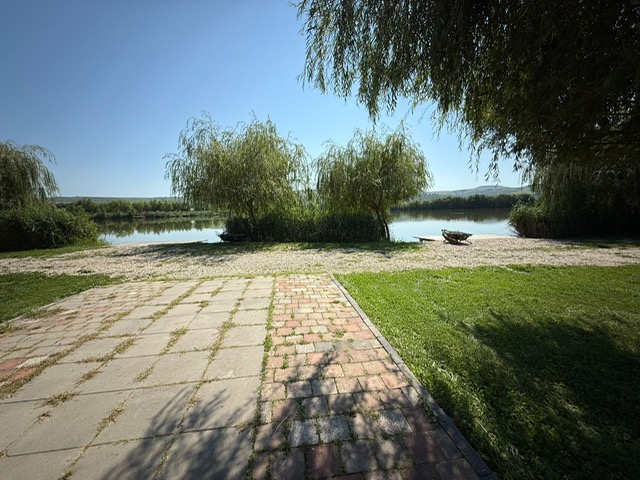 image19